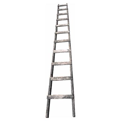 تصویر کلمه Ladder