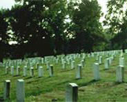 تصویر کلمه cemetery