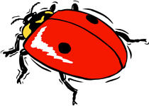 تصویر کلمه ladybug