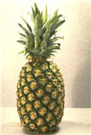 تصویر کلمه pineapple