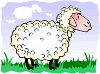 تصویر کلمه sheep