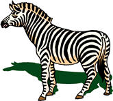 تصویر کلمه zebra